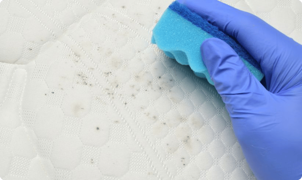 Stop mould spreading to your mattress